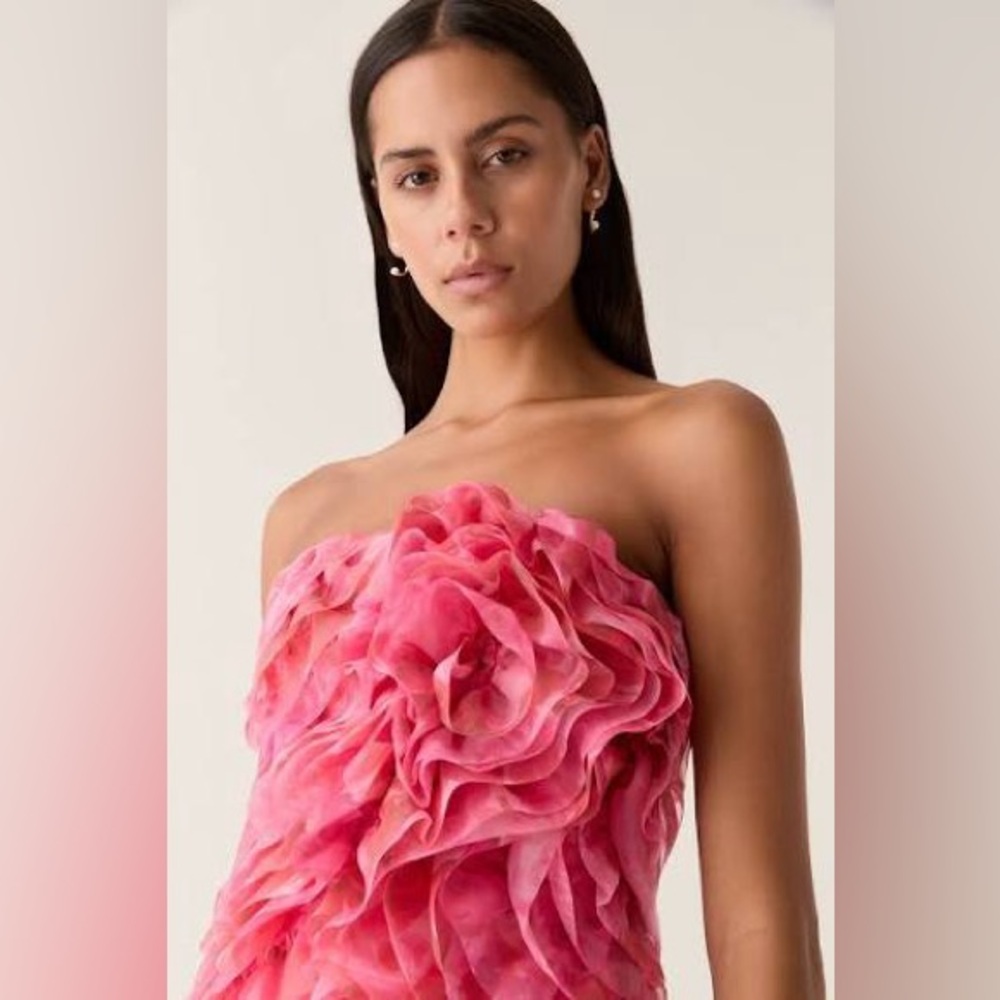 Nwt Aje charmed bustier in Misty rose - size us 2